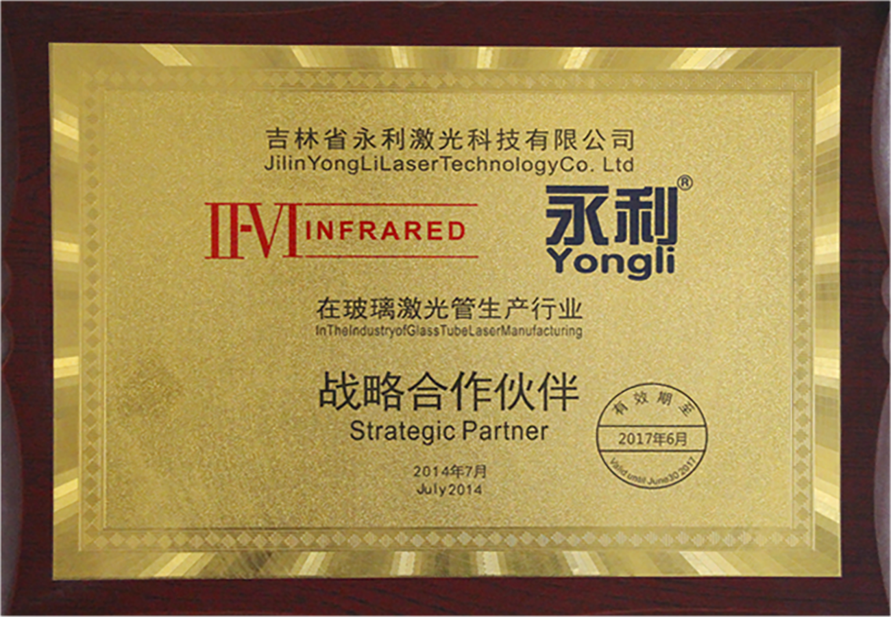 美國Ⅱ-Ⅵ戰略合作伙伴